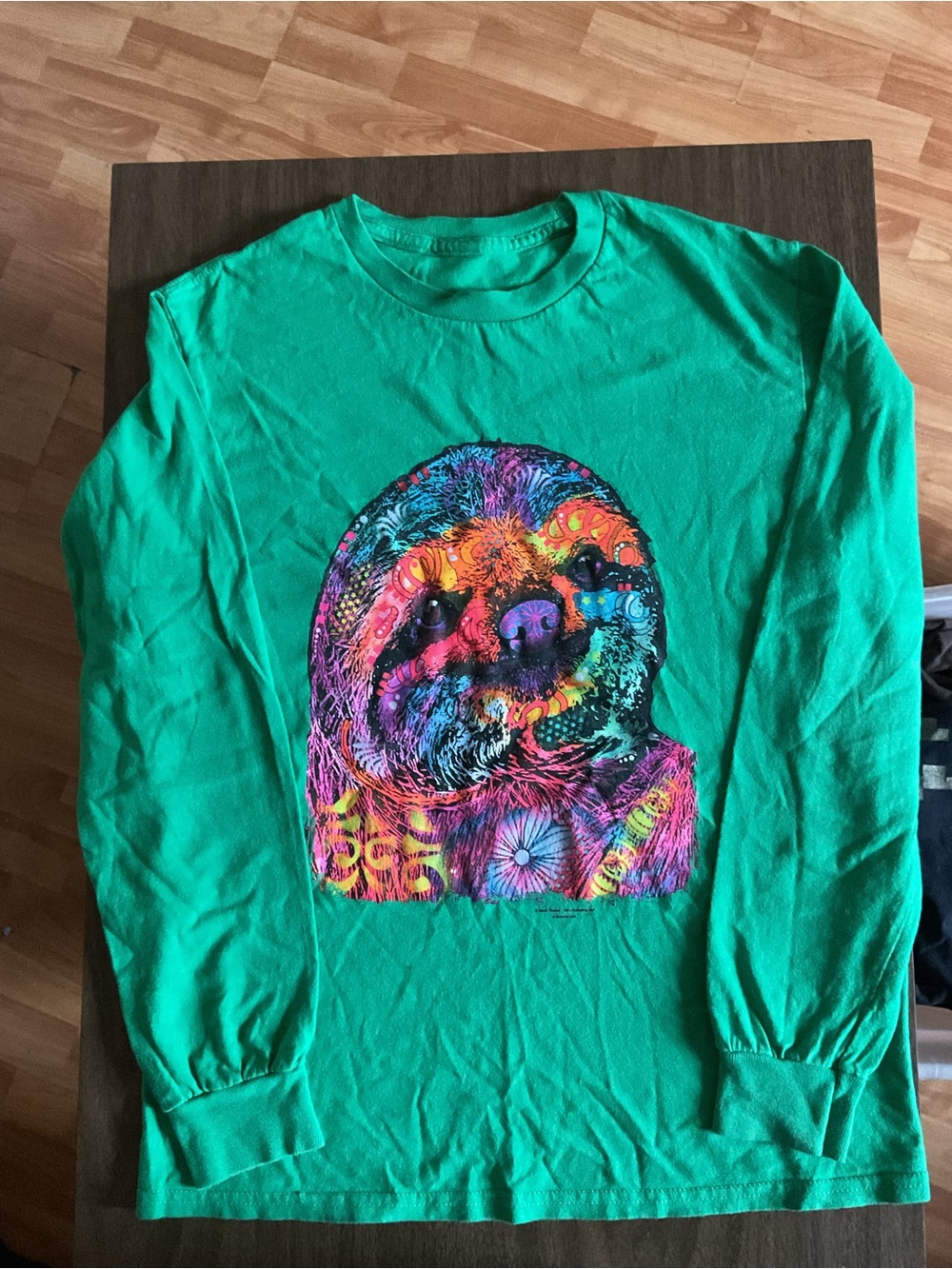 Boy XXL Green Long-Sleeve Tee with Multicolor Sloth Graphic